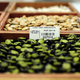 Image for article titled Doomsday Seed Vault Adds 20k New Crops—Including Beer Barley